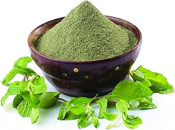 Mint Leaf Powder (पुदिना पावडर)