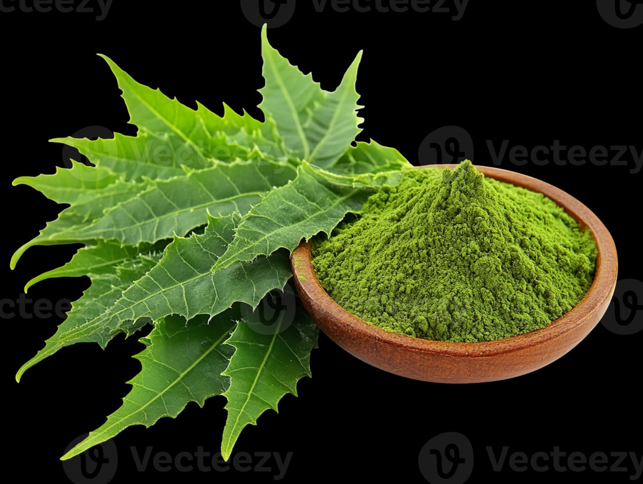 Dehydrated Neem Leaf Powder (कडुलिंब पावडर)